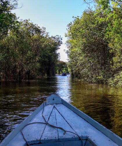 amazon-village-jungle-lodge-the-lodge-gallery-3