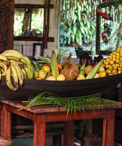 amazon-village-jungle-lodge-the-lodge-gallery-7